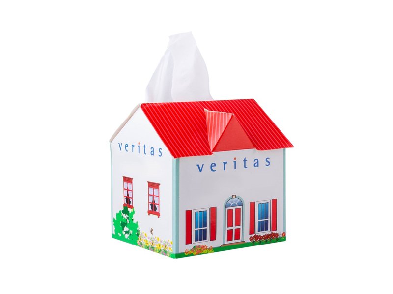 Tissue box huis