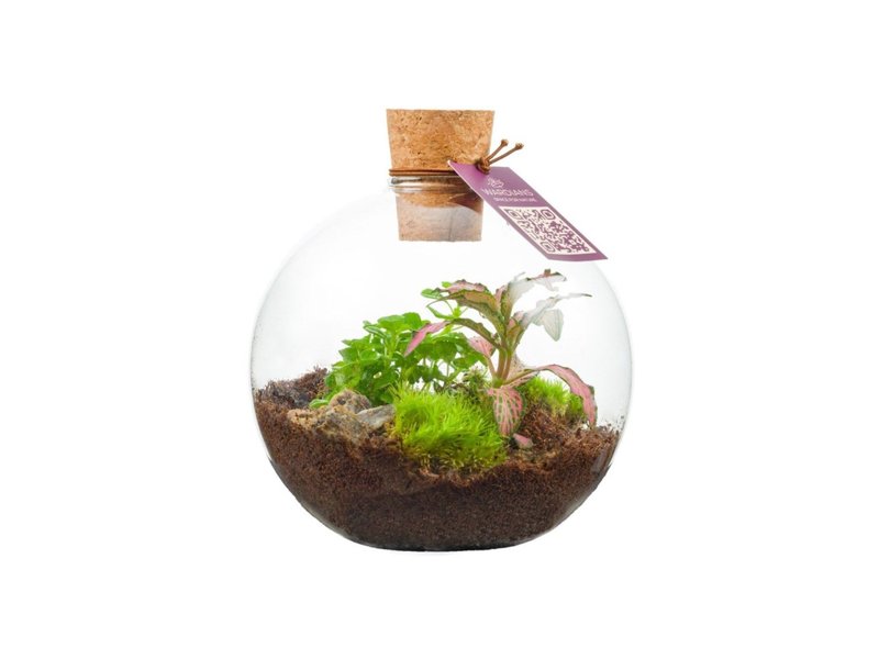 Wardians® ecosysteem - Bowl small