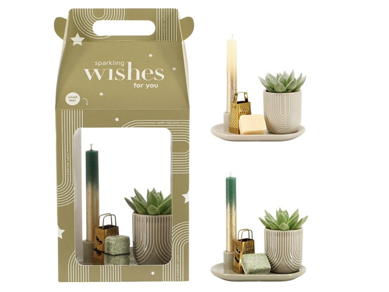 Aromatic Christmas Giftset large - Snowy Succulent