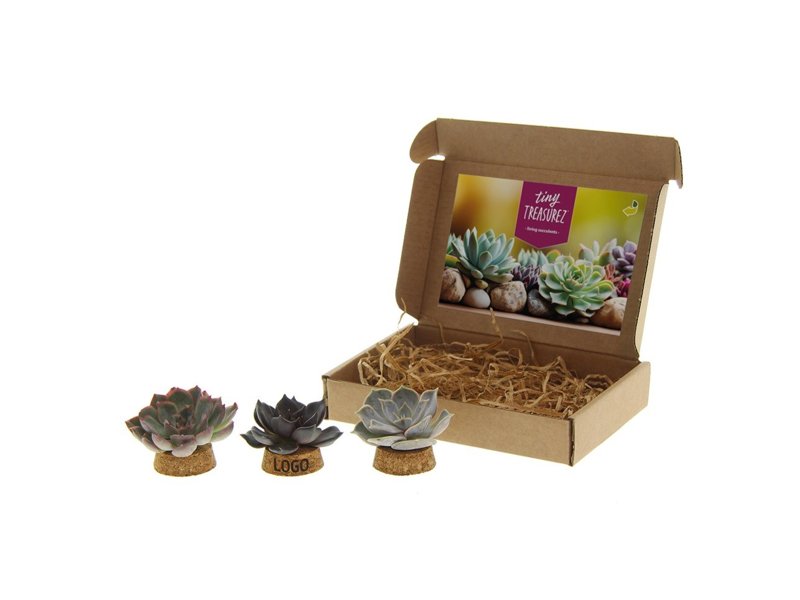 Tiny Treasurez® - Living candle trio in brievenbusdoosje