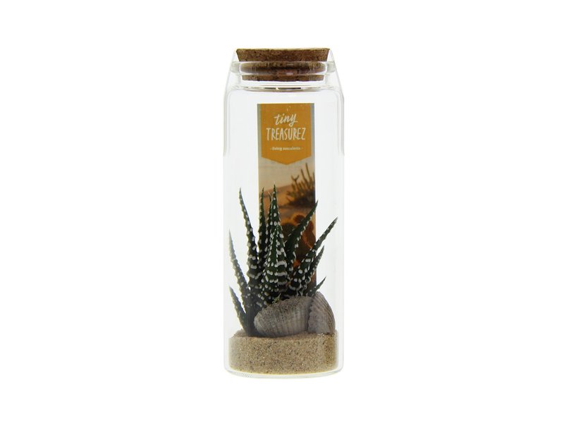 Tiny Treasurez® - Message in a bottle large