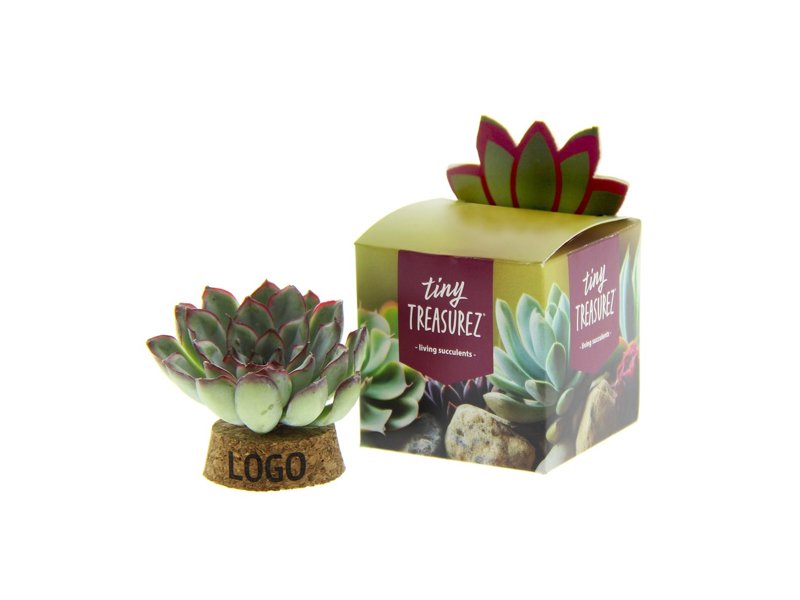 Tiny Treasurez® - Living candle in giftbox